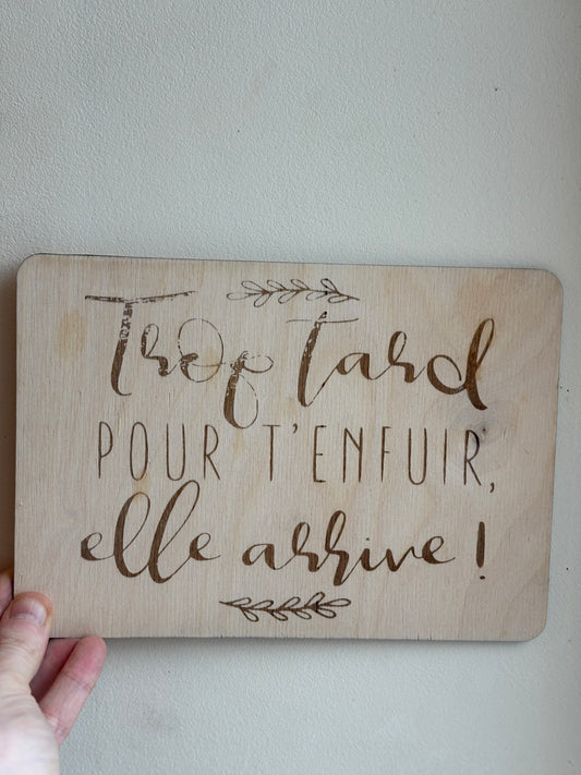 Trop tard pour t’enfuir