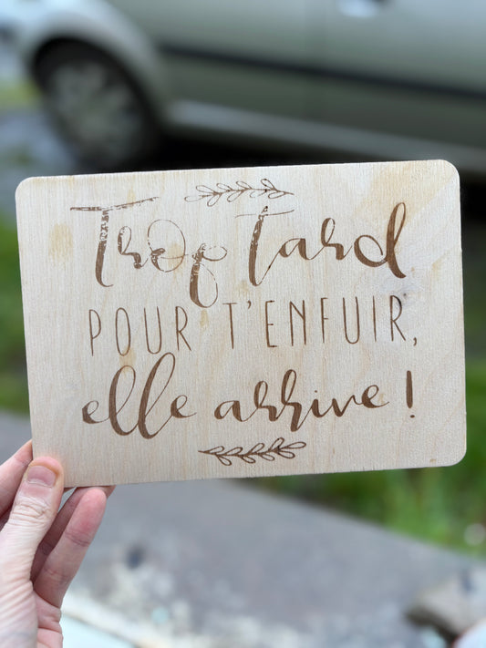 Trop tard pour t’enfuir