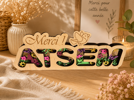 ATSEM 3d
